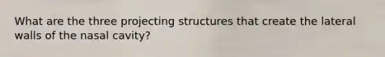 What are the three projecting structures that create the lateral walls of the nasal cavity?