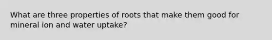 What are three properties of roots that make them good for mineral ion and water uptake?