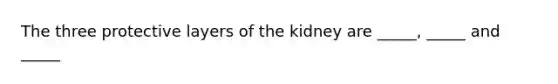 The three protective layers of the kidney are _____, _____ and _____