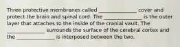 Three protective membranes called _______________ cover and protect the brain and spinal cord. The _______________ is the outer layer that attaches to the inside of the cranial vault. The _______________ surrounds the surface of the cerebral cortex and the _______________ is interposed between the two.