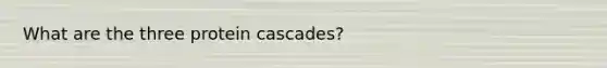 What are the three protein cascades?