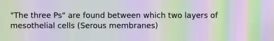 "The three Ps" are found between which two layers of mesothelial cells (Serous membranes)