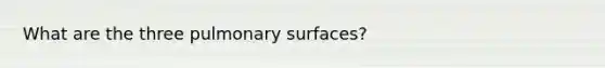 What are the three pulmonary surfaces?