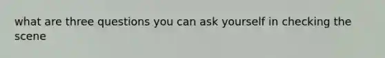 what are three questions you can ask yourself in checking the scene