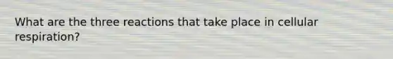 What are the three reactions that take place in cellular respiration?