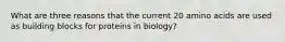 What are three reasons that the current 20 amino acids are used as building blocks for proteins in biology?