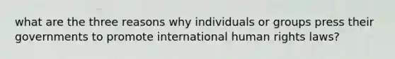 what are the three reasons why individuals or groups press their governments to promote international human rights laws?