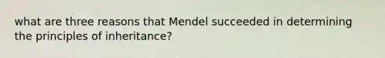 what are three reasons that Mendel succeeded in determining the principles of inheritance?