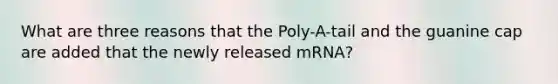 What are three reasons that the Poly-A-tail and the guanine cap are added that the newly released mRNA?