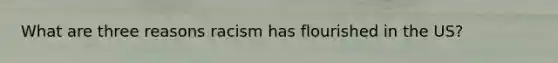What are three reasons racism has flourished in the US?