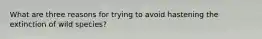What are three reasons for trying to avoid hastening the extinction of wild species?
