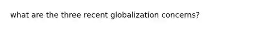 what are the three recent globalization concerns?