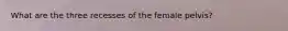 What are the three recesses of the female pelvis?