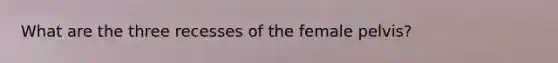 What are the three recesses of the female pelvis?