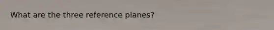 What are the three reference planes?