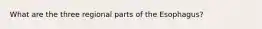 What are the three regional parts of the Esophagus?