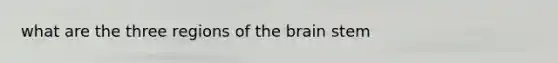 what are the three regions of the brain stem