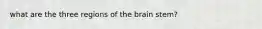 what are the three regions of the brain stem?