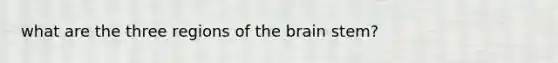 what are the three regions of the brain stem?