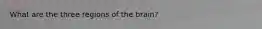 What are the three regions of the brain?