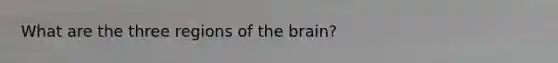 What are the three regions of <a href='https://www.questionai.com/knowledge/kLMtJeqKp6-the-brain' class='anchor-knowledge'>the brain</a>?