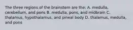 The three regions of the brainstem are the: A. medulla, cerebellum, and pons B. medulla, pons, and midbrain C. thalamus, hypothalamus, and pineal body D. thalamus, medulla, and pons