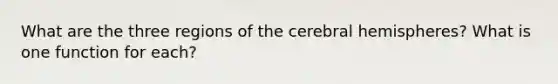 What are the three regions of the cerebral hemispheres? What is one function for each?