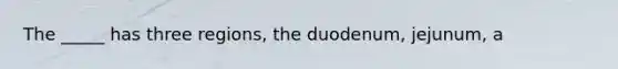 The _____ has three regions, the duodenum, jejunum, a