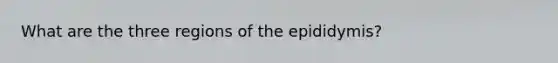 What are the three regions of the epididymis?