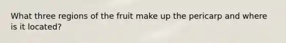 What three regions of the fruit make up the pericarp and where is it located?