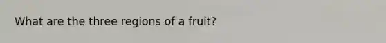 What are the three regions of a fruit?