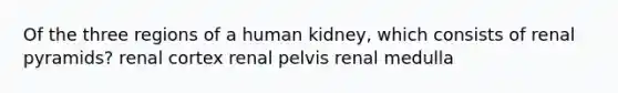 Of the three regions of a human kidney, which consists of renal pyramids? renal cortex renal pelvis renal medulla