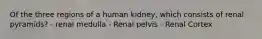 Of the three regions of a human kidney, which consists of renal pyramids? - renal medulla - Renal pelvis - Renal Cortex