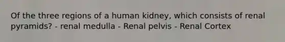 Of the three regions of a human kidney, which consists of renal pyramids? - renal medulla - Renal pelvis - Renal Cortex