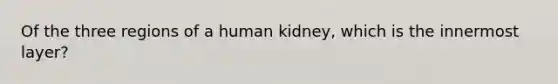 Of the three regions of a human kidney, which is the innermost layer?