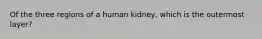 Of the three regions of a human kidney, which is the outermost layer?