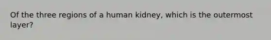 Of the three regions of a human kidney, which is the outermost layer?