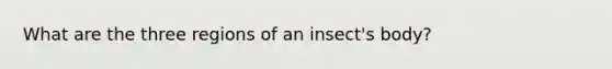 What are the three regions of an insect's body?