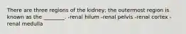 There are three regions of the kidney; the outermost region is known as the ________. -renal hilum -renal pelvis -renal cortex -renal medulla