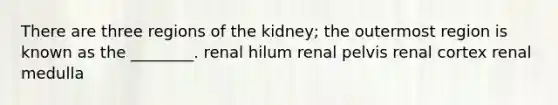 There are three regions of the kidney; the outermost region is known as the ________. renal hilum renal pelvis renal cortex renal medulla