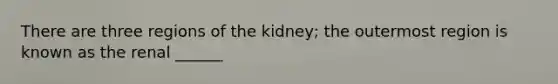 There are three regions of the kidney; the outermost region is known as the renal ______