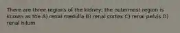 There are three regions of the kidney; the outermost region is known as the A) renal medulla B) renal cortex C) renal pelvis D) renal hilum