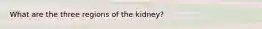 What are the three regions of the kidney?