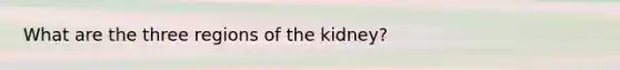 What are the three regions of the kidney?