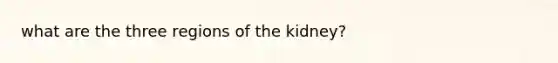 what are the three regions of the kidney?