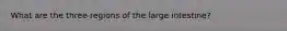 What are the three regions of the large intestine?