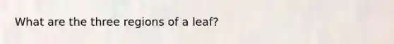 What are the three regions of a leaf?