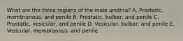 What are the three regions of the male urethra? A. Prostatic, membranous, and penile B. Prostatic, bulbar, and penile C. Prostatic, vesicular, and penile D. Vesicular, bulbar, and penile E. Vesicular, membranous, and penile