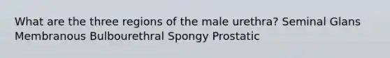 What are the three regions of the male urethra? Seminal Glans Membranous Bulbourethral Spongy Prostatic