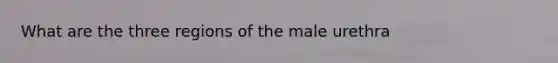 What are the three regions of the male urethra